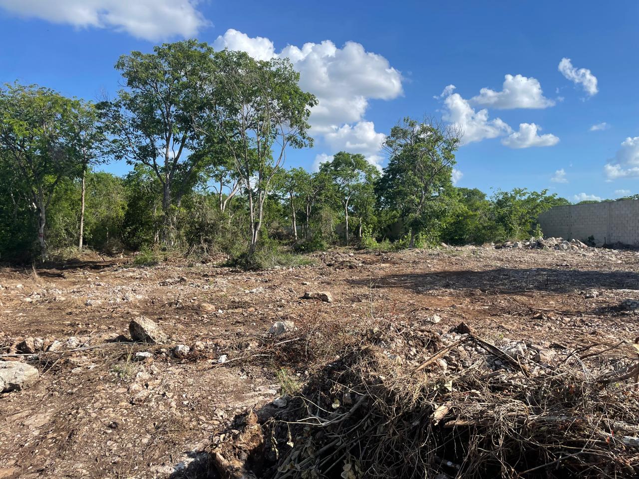 Terreno totalmente desmontado, limpio y listo para construir